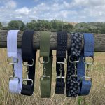 Cinturón Elástico Clásico con Hebilla de Bocado