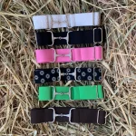 Cinturón Elástico con Hebilla de Bocado y Brillantes