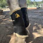 Protector de Tendones para Caballos Trotando Juntos
