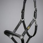 Cabezada de Cuadra con Cuero Vegano RX: Resistencia a Prueba de Gigantes