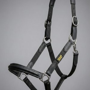 Cabezada de Cuadra con Cuero Vegano RX: Resistencia a Prueba de Gigantes