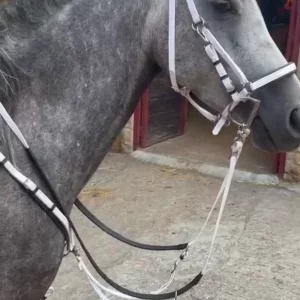 Conjunto de raid profesional de Biothane blanco puesto en un caballo, mostrando la cabezada y el cuello del animal desde una vista lateral.