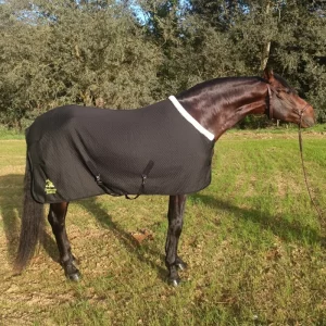 Un caballo castaño en el box llevando la manta de cuadra 200gr "Comfort-Fit" de Trotando Juntos en color negro. Vista lateral completa.