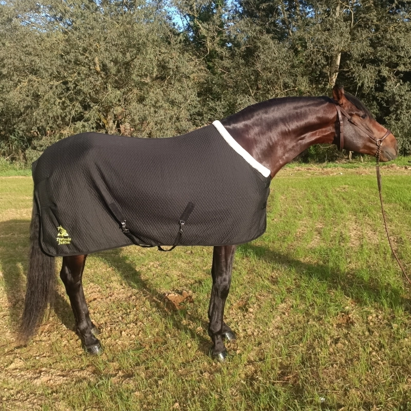 Un caballo castaño en el box llevando la manta de cuadra 200gr "Comfort-Fit" de Trotando Juntos en color negro. Vista lateral completa.