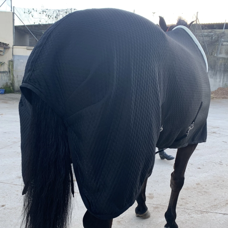 Vista trasera de la manta de cuadra de 200gr puesta en un caballo, mostrando el ajuste perfecto en la grupa y el cordón de cola.