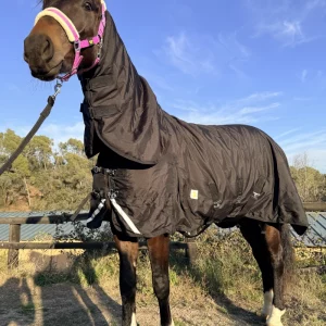 Caballo equipado con la manta impermeable de 600D. Vista general mostrando el ajuste en cuello y pecho para proteger de la lluvia y el viento.