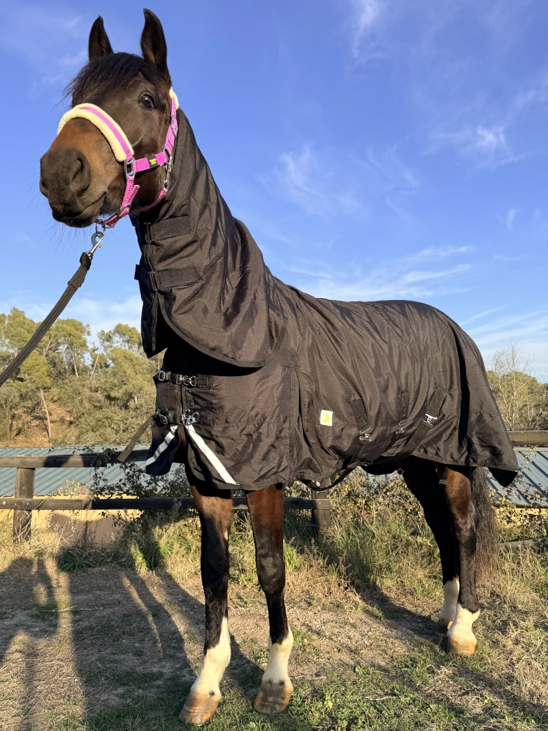 Caballo equipado con la manta impermeable de 600D. Vista general mostrando el ajuste en cuello y pecho para proteger de la lluvia y el viento.