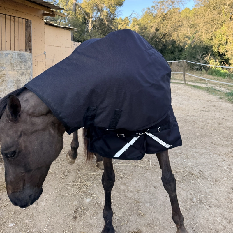 Caballo pastando con la manta impermeable 600D, mostrando la holgura y comodidad del cuello para bajar la cabeza sin presiones.