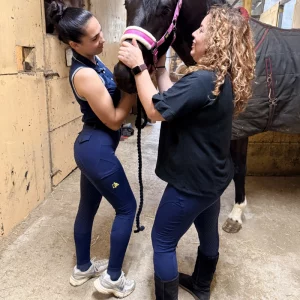 Dos amazonas vistiendo los pantalones de montar PX en azul navy, demostrando cómo el tejido se adapta perfectamente a diferentes edades y tipos de cuerpo.