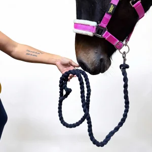 Detalle de mano de amazona sujetando firmemente un ramal conectado a una cabezada de cuadra en un caballo, mostrando seguridad y control.