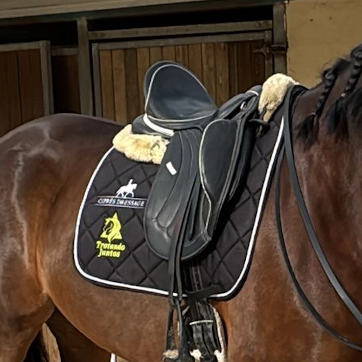 Mantilla de doma negra personalizada con bordado del logo para centro hípico y silla de montar sobre caballo.