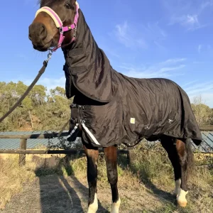 Manta caballo impermeable invierno de 600d colocada en caballo