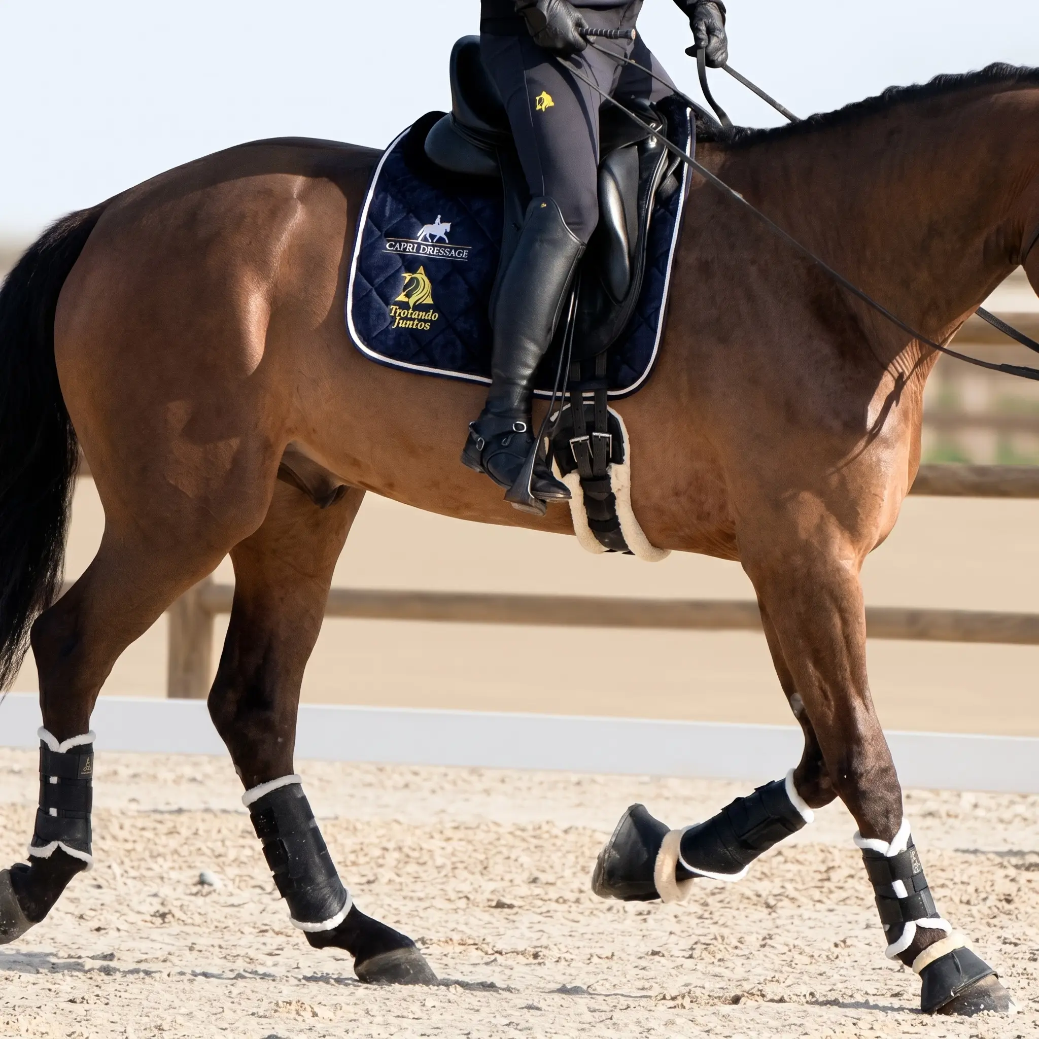 Jinete montando a caballo con pantalón de equitación para hombre XC negro